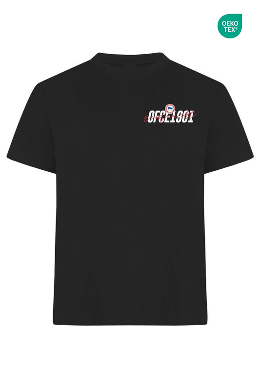 OFCE1901 - Oversize Shirt - OEKOTEX